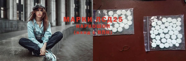 ПСИЛОЦИБИНОВЫЕ ГРИБЫ Осташков