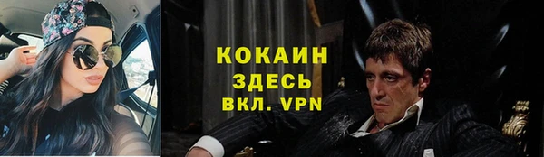 ПСИЛОЦИБИНОВЫЕ ГРИБЫ Осташков