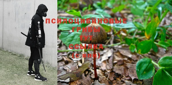 Альфа ПВП Остров