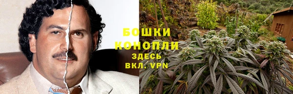 таблы Осинники