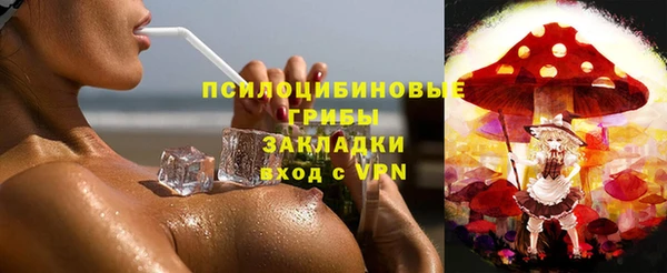 ПСИЛОЦИБИНОВЫЕ ГРИБЫ Осташков